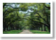 South Carolina
