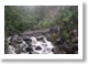 El Yunque National Park